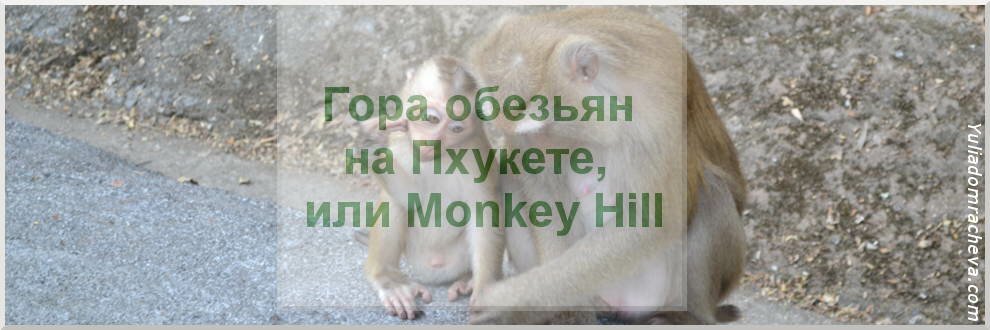 Monkey Hill