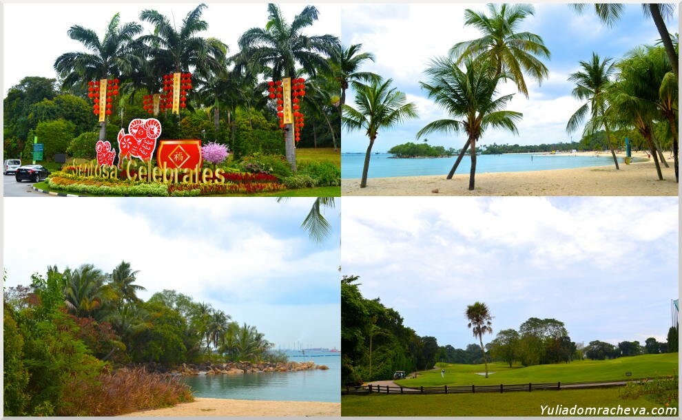 Зеленый парк Сентоза с пальмами, пляжами и полями для гольфа